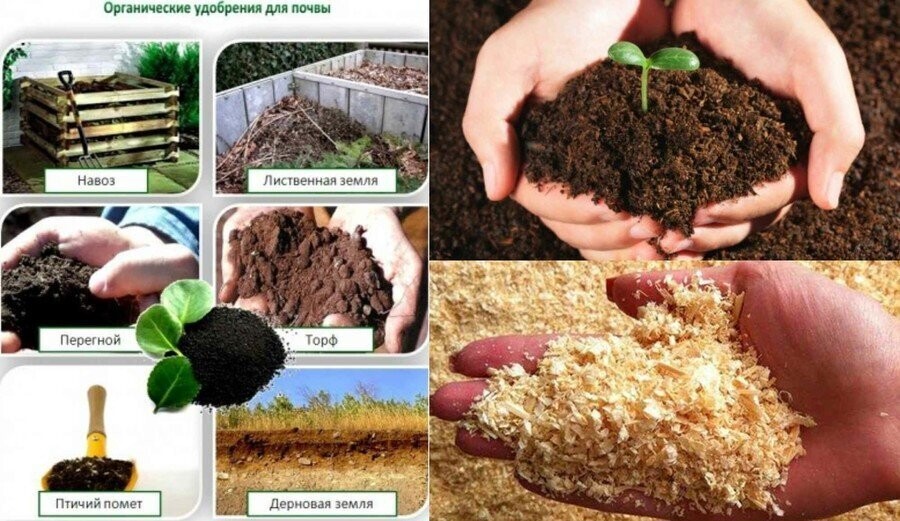 Как правильно применять торф для улучшения почвы