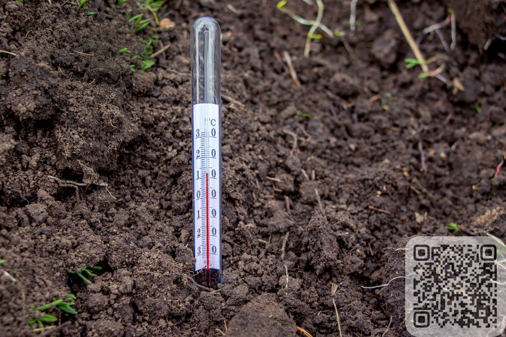 Оптимальная температура почвы для посева семян в открытый грунт