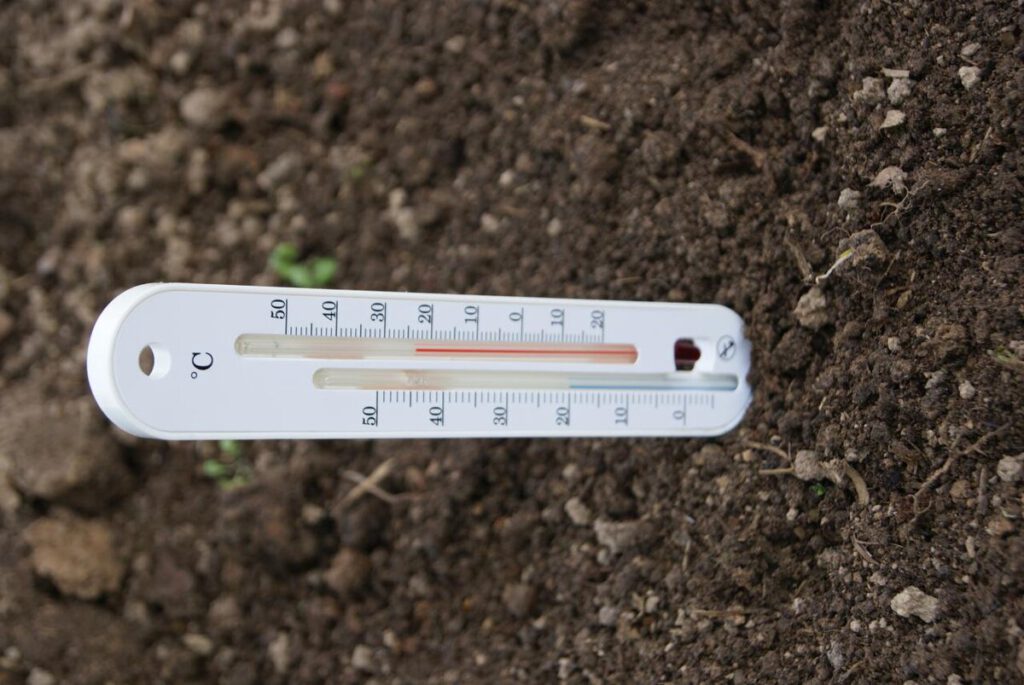 определить оптимальную температуру почвы для конкретного вида семян